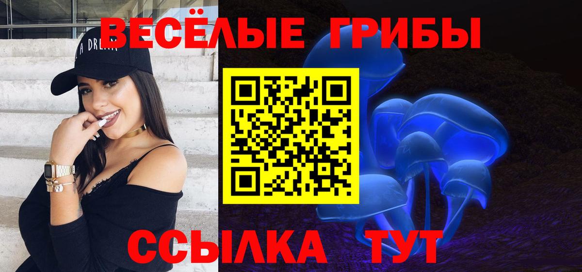 Галлюциногенные грибы Psilocybine cubensis Кингисепп