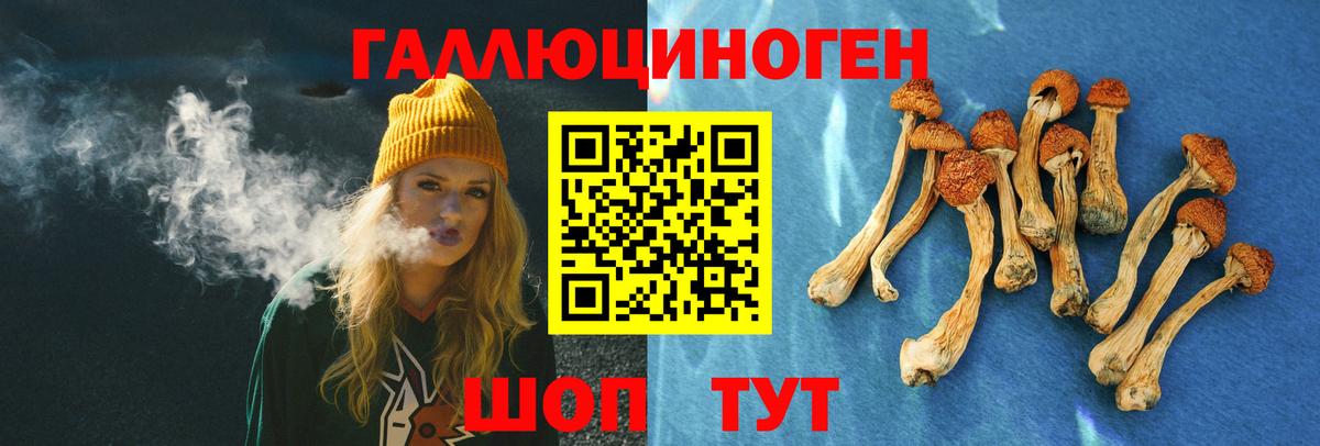 Галлюциногенные грибы мицелий  Вход с VPN  Кингисепп 